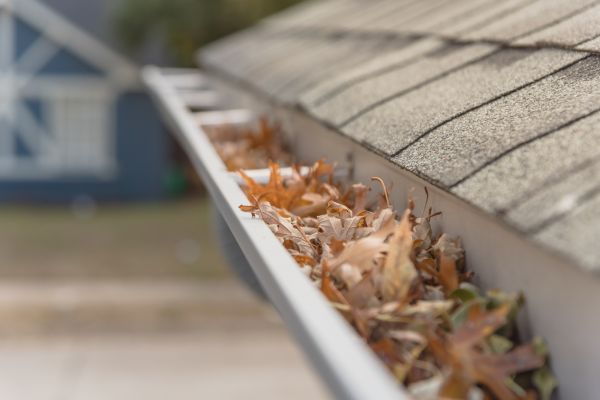 Leaf Barrier Installation in San Luis Obispo